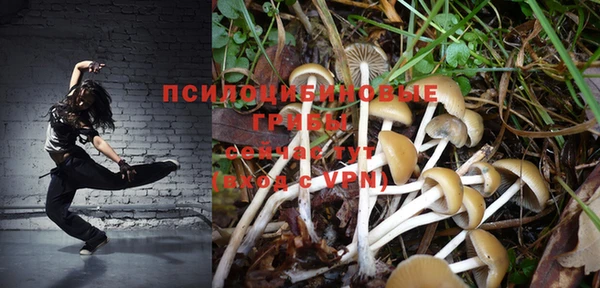 МДМА Богданович