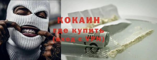 mix Богородицк