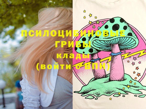МДМА Богданович