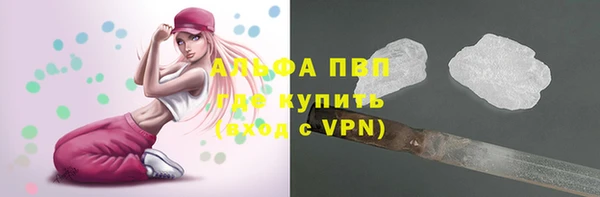 mix Богородицк