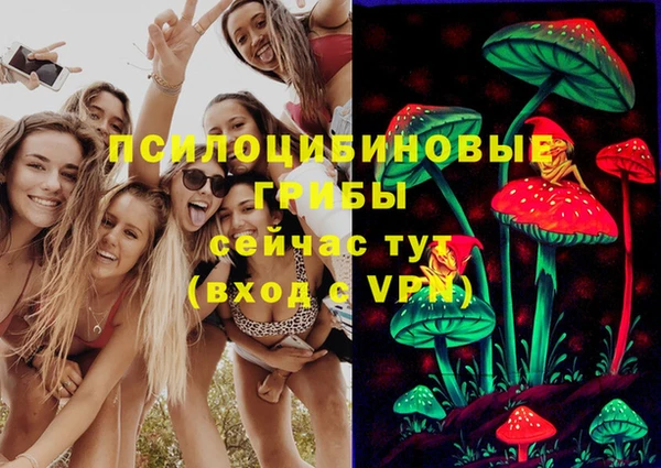 МДМА Богданович