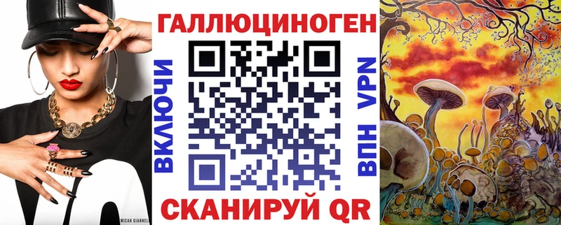 Псилоцибиновые грибы Magic Shrooms Купить закладки Стародуб