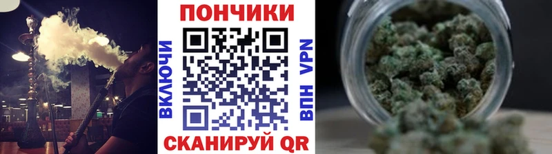 Купить где  Стародуб  Бошки марихуана конопля 